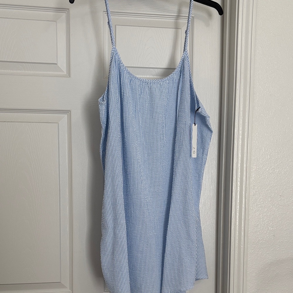 Jasmine & Ginger Light Blue Striped Garment